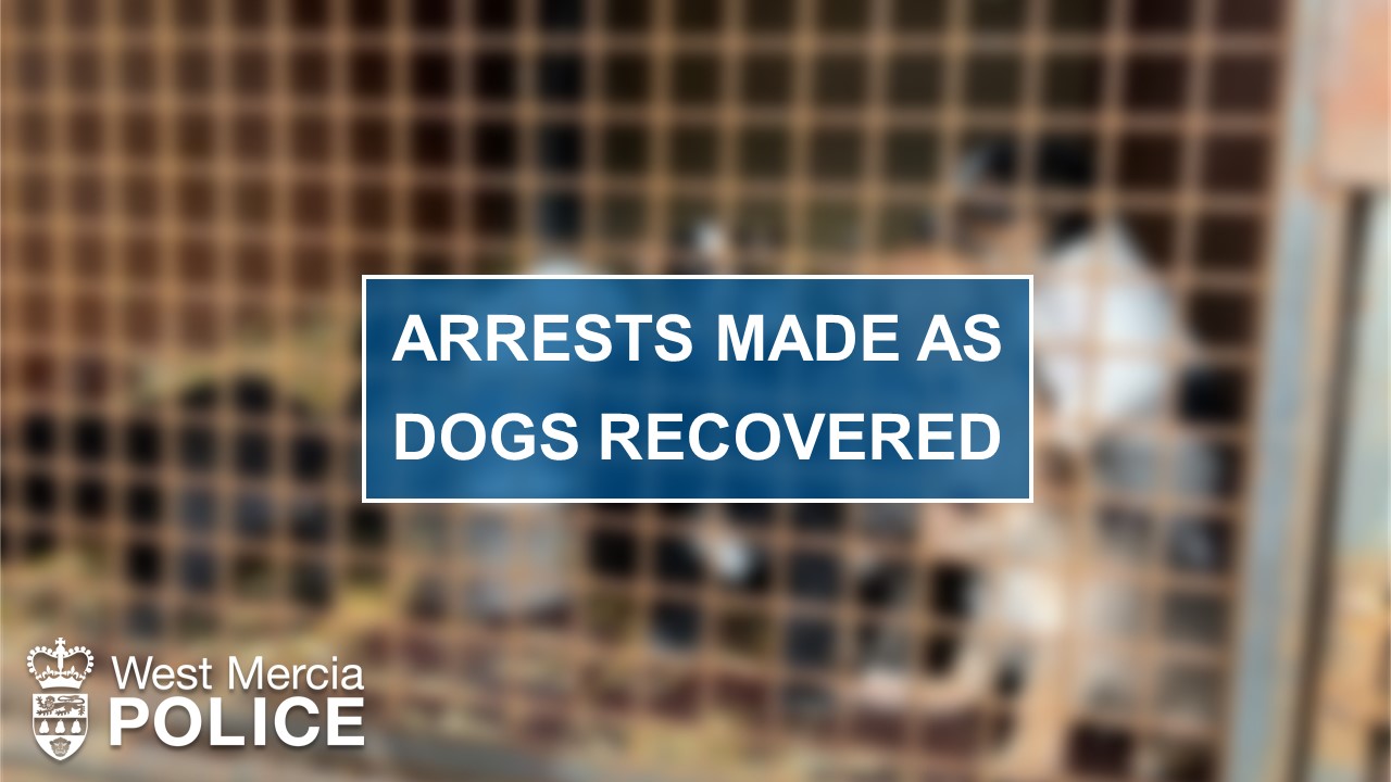 Arrests Made