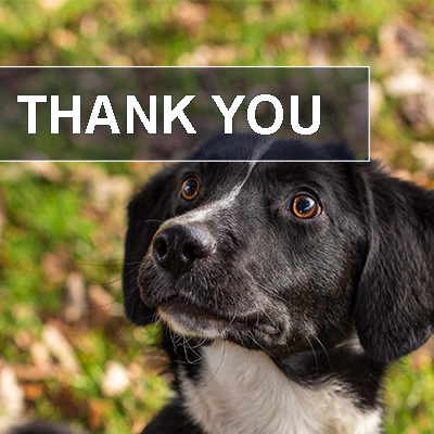 Thank you image
