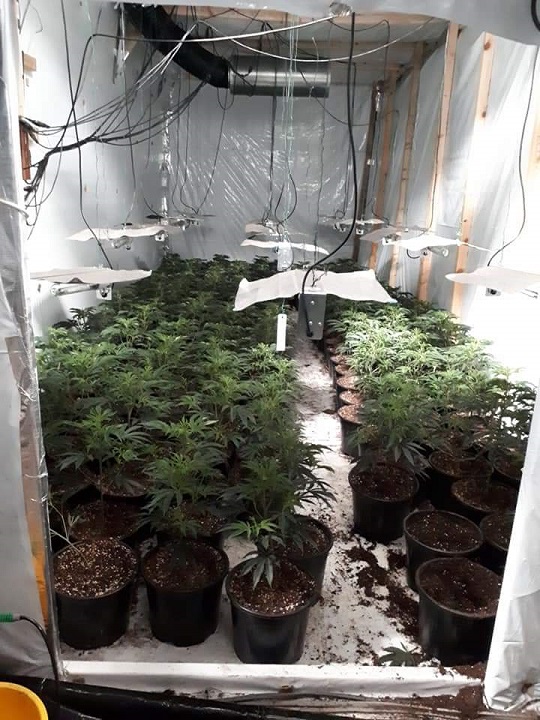 drugs raid
