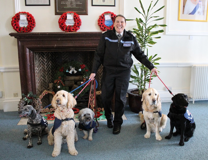Image of CC Mills and Wellbeing Dogs, from left Marley, Winnie, Beau, CC Mills, Rapha, Toby