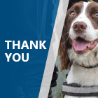 Brown and white dog with a blue overlay and the words thank you