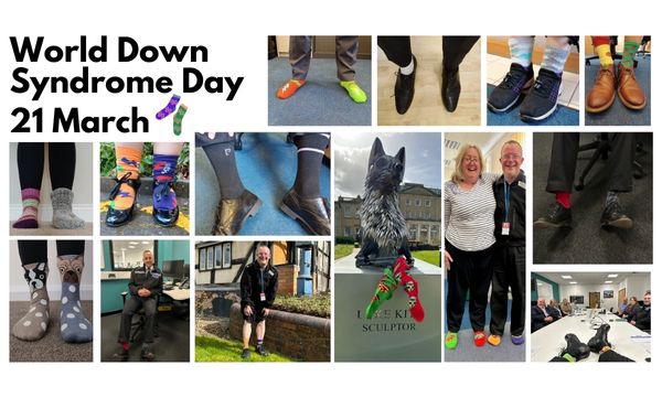 Odd Socks Day RECTANGLE.jpg