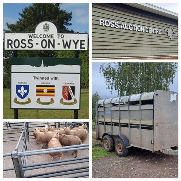 A montage of rural pictures from Ross on Wye