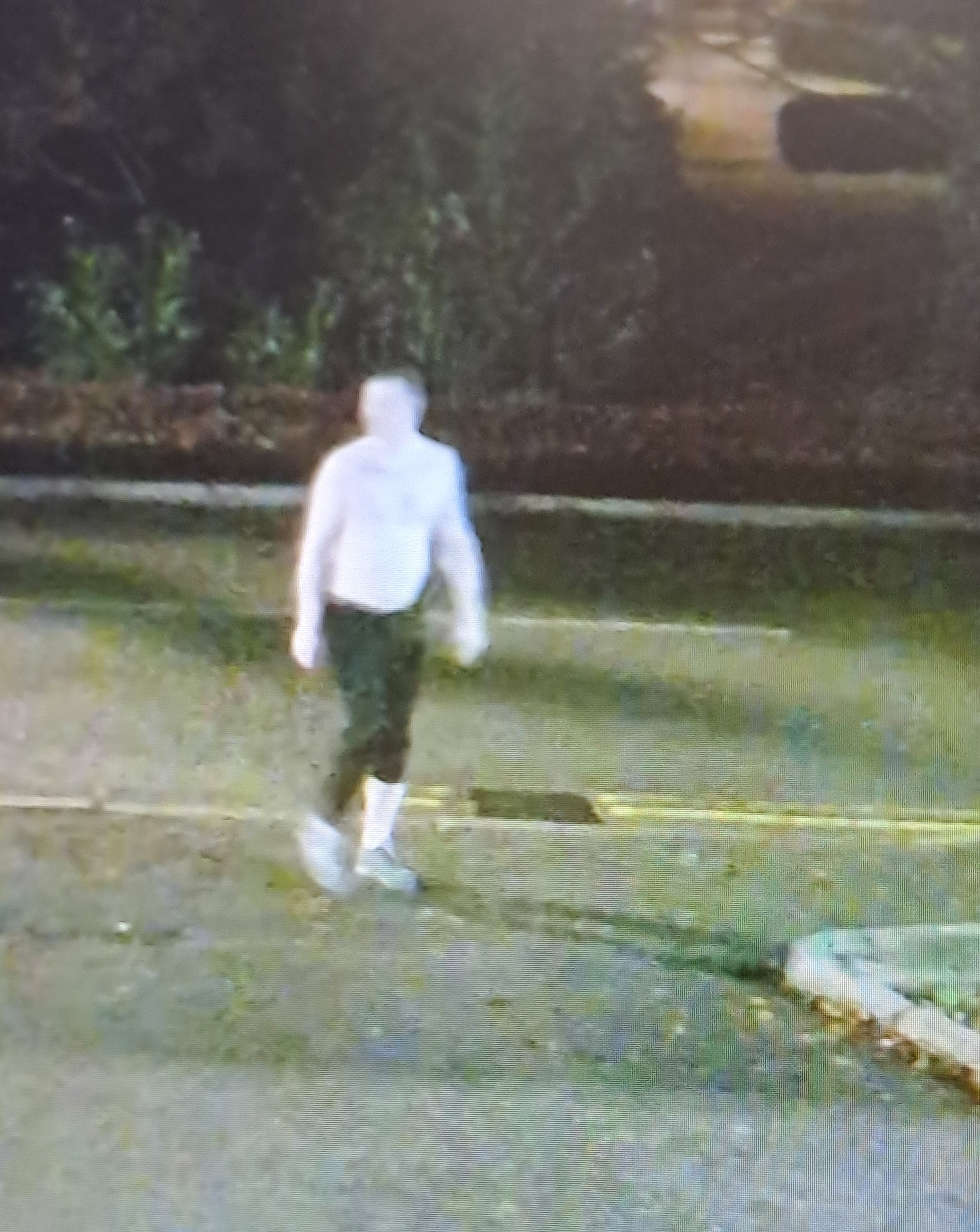 Image of man missing in Ironbridge after entering the River Severn