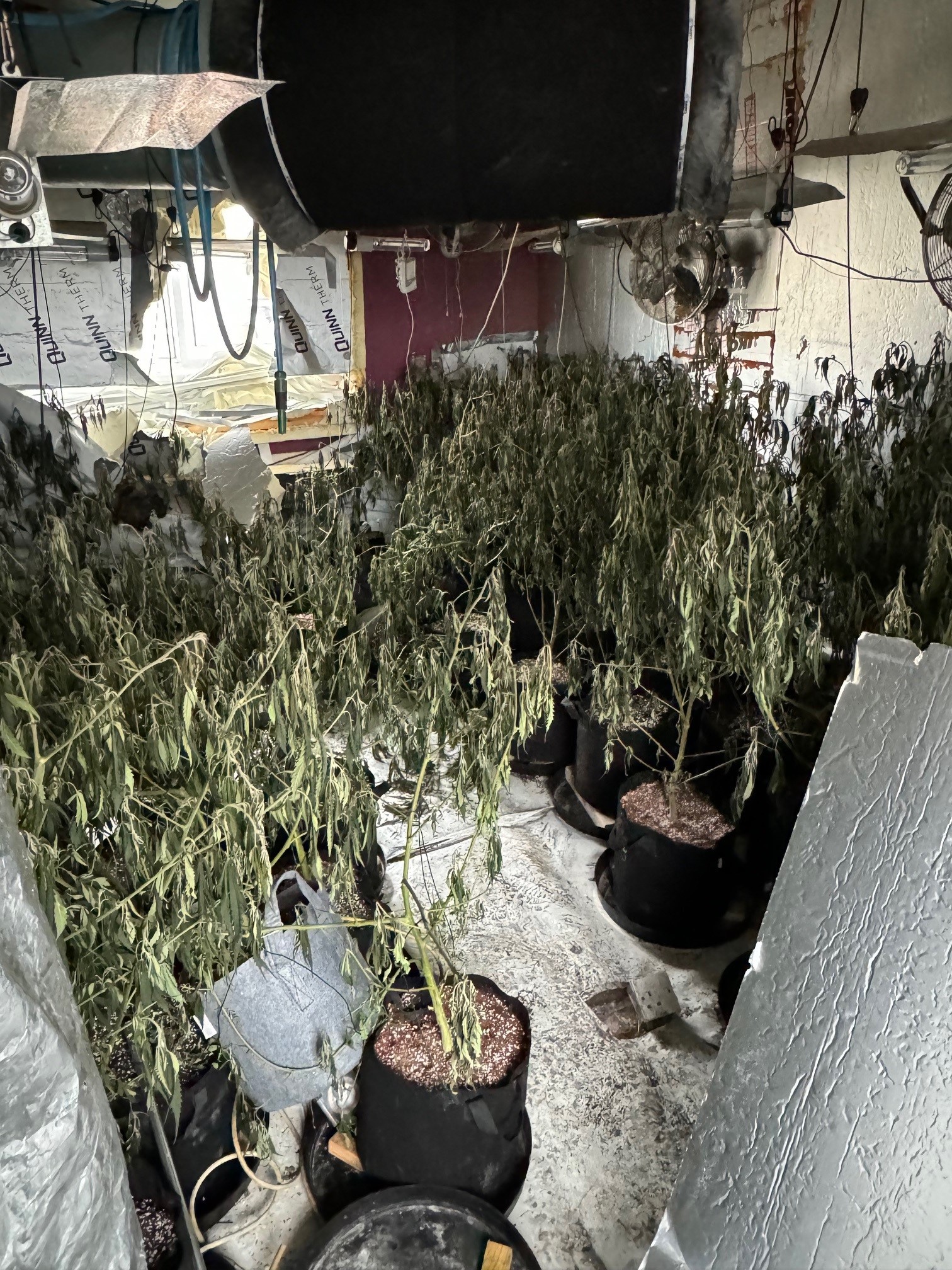 Cannabis found at Telford house following fire