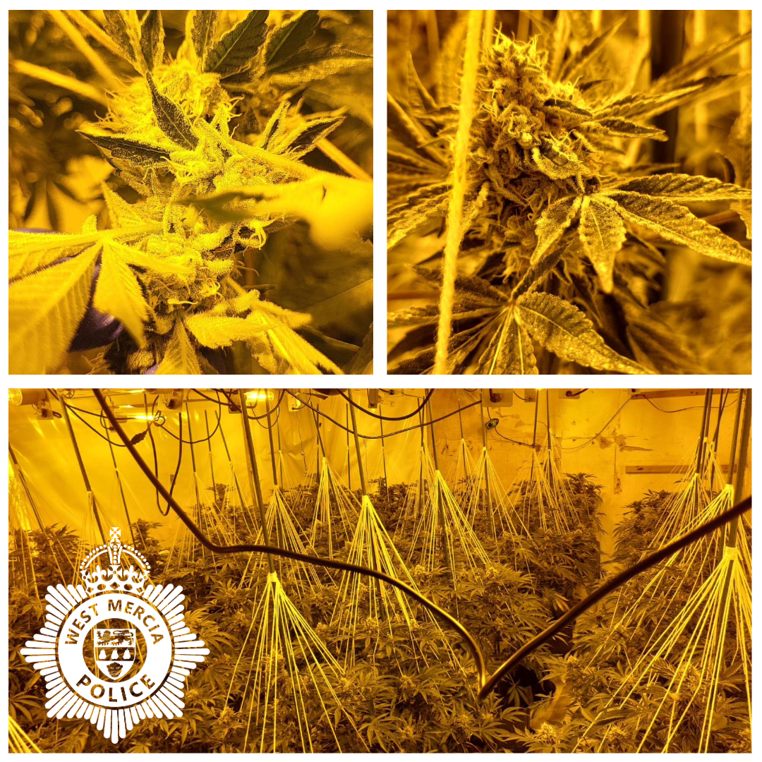 Cannabis found in Droitwich drugs warrant