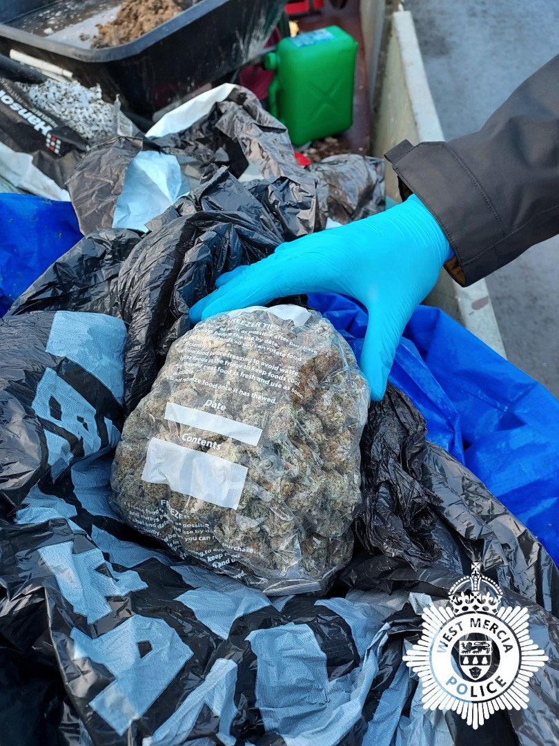 Cannabis found