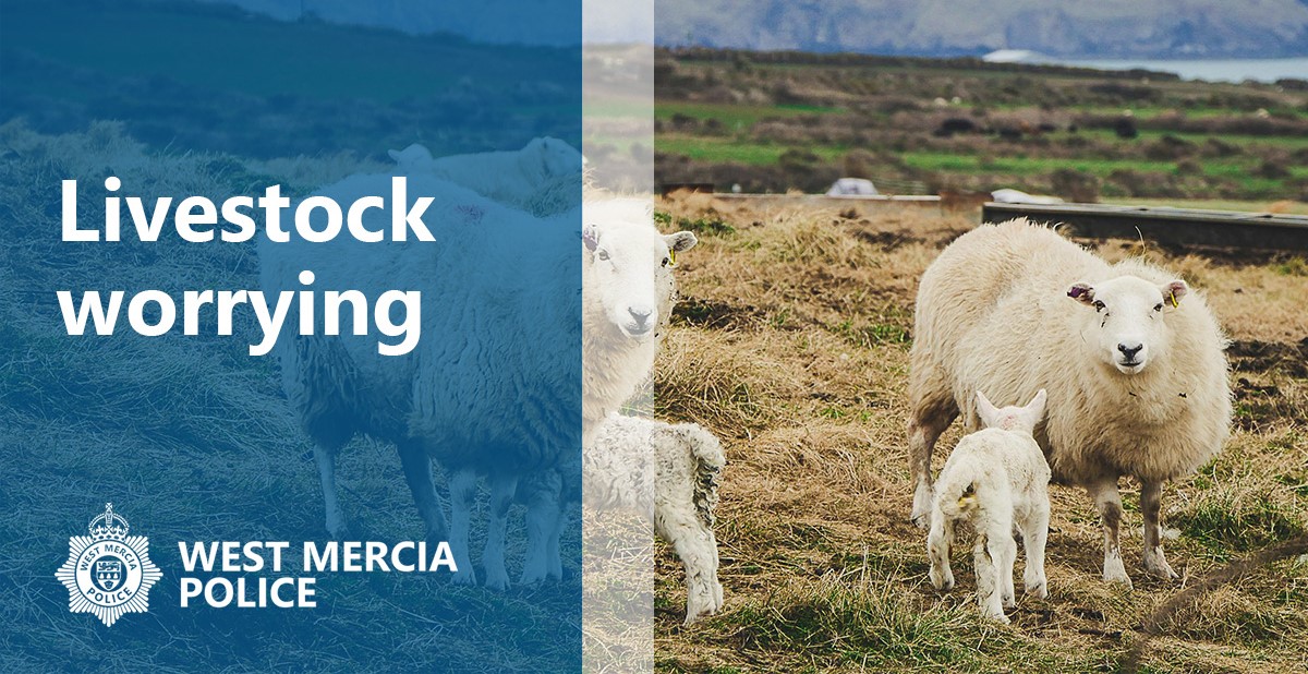 Livestock worrying