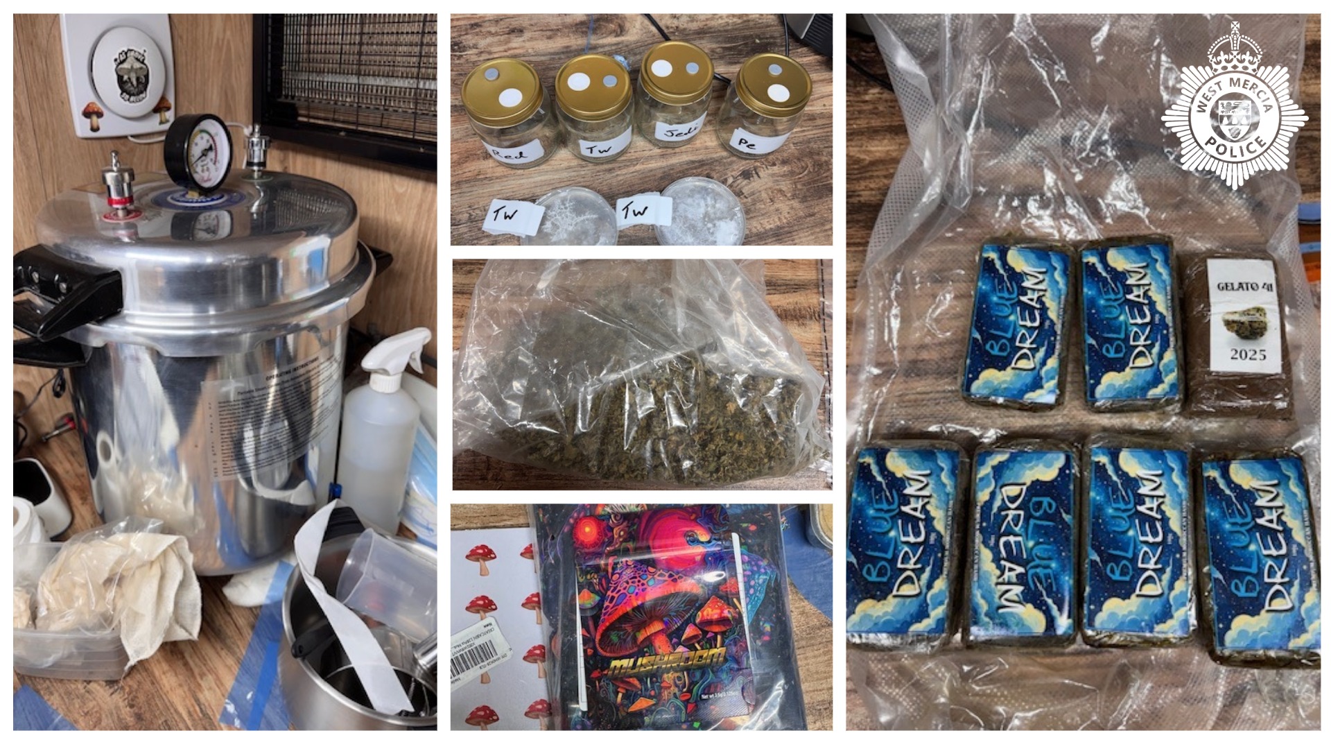 Drugs warrant