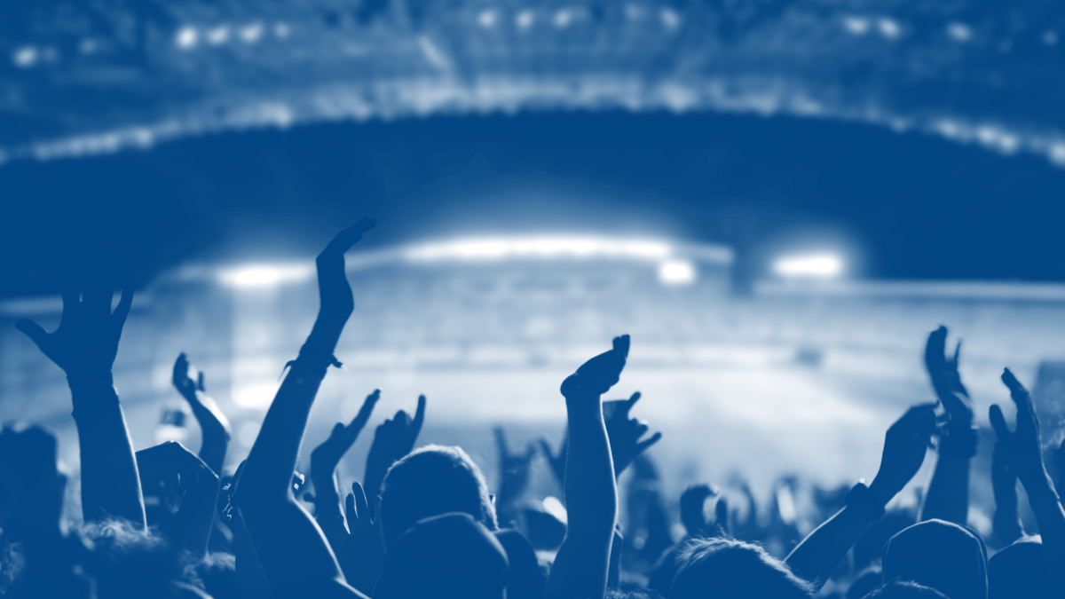Football fans in a stadium