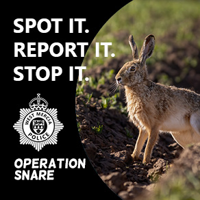 Operation Snare - hare coursing