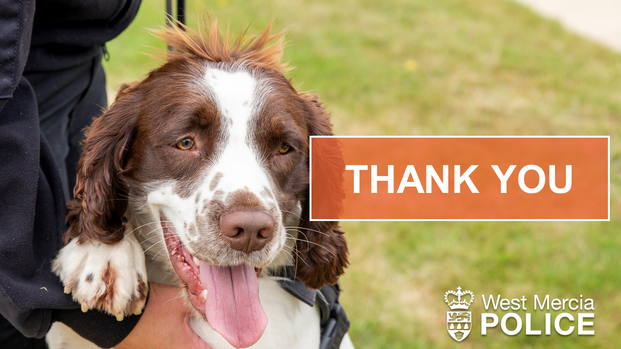 thank you - missing  boy found 