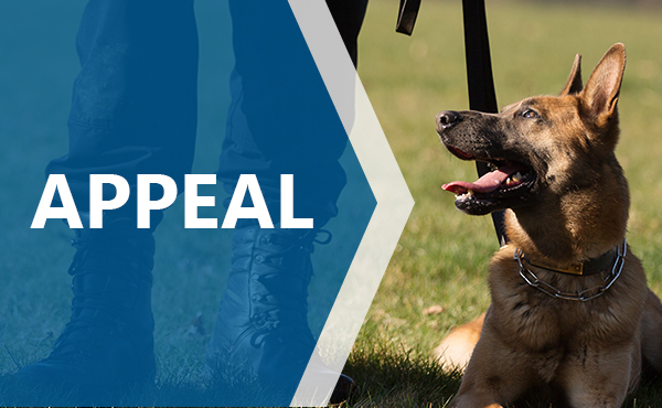 Appeal