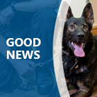 A police dog on a lead, with the wording 'good news'