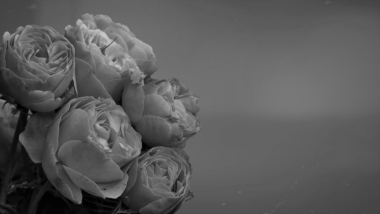 Image of roses