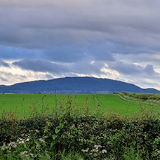 Image of Wellington West and Rural