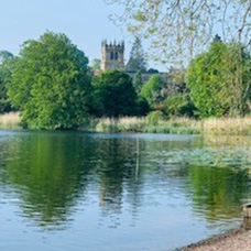 Image of Ellesmere Town and Rural